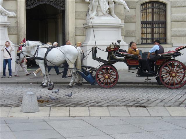 Kutsche in Wien